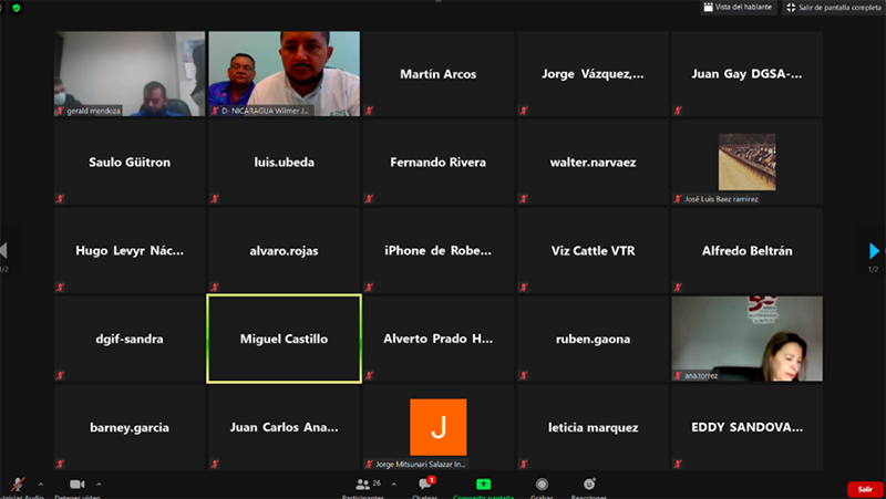 nicaragua-exportara-a-mexico-ganador-bovino-en-pie